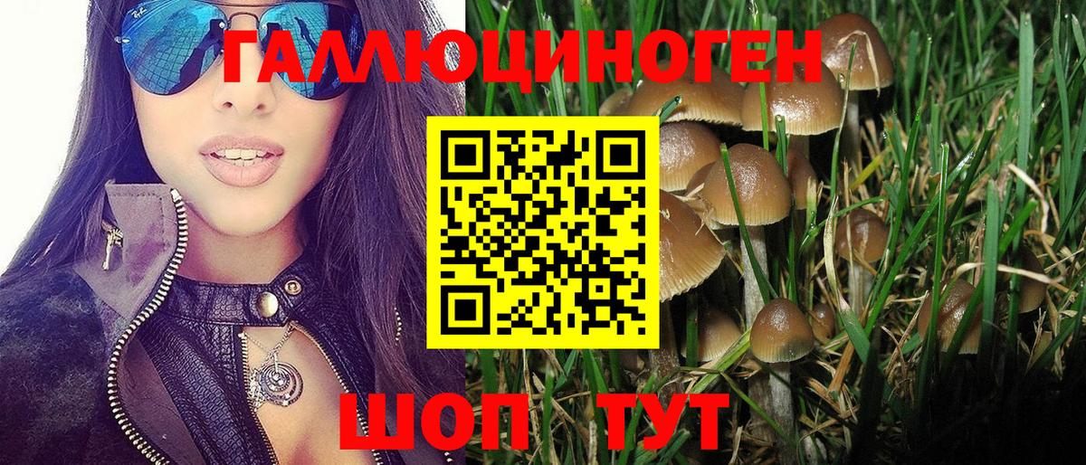 Псилоцибиновые грибы ЛСД Большой Камень